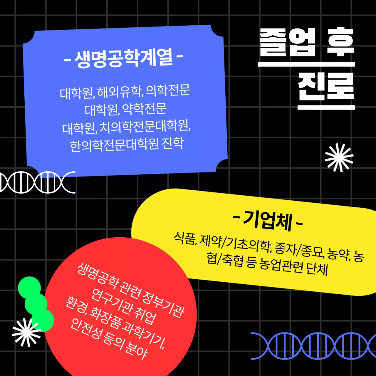 비비드한 컬러의 바이오소재 학과소개