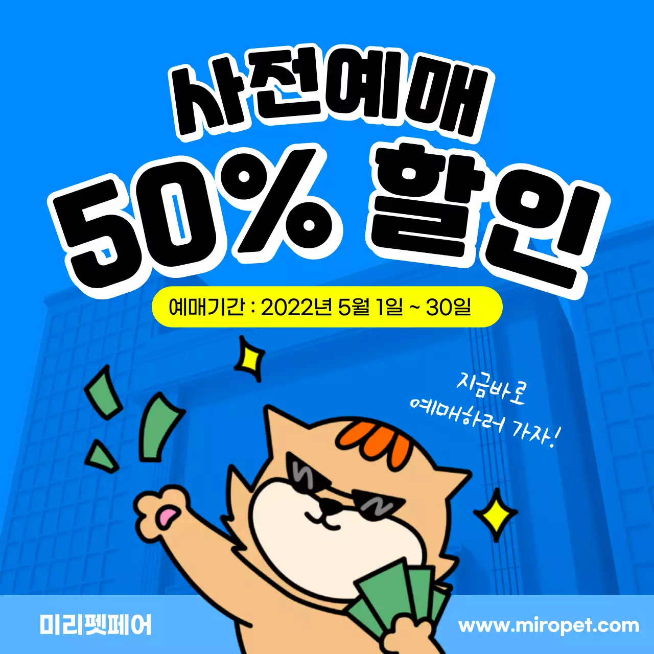 파란색의 고양이 사전예매 할인정보
