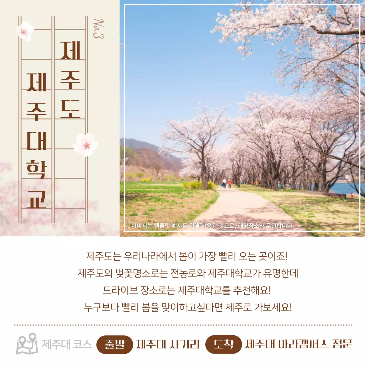 파스텔 톤의 벚꽃 드라이브 명소