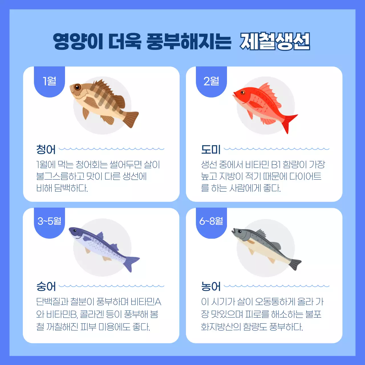 파랑과 심플한 제철 회 섭취방법 안내서