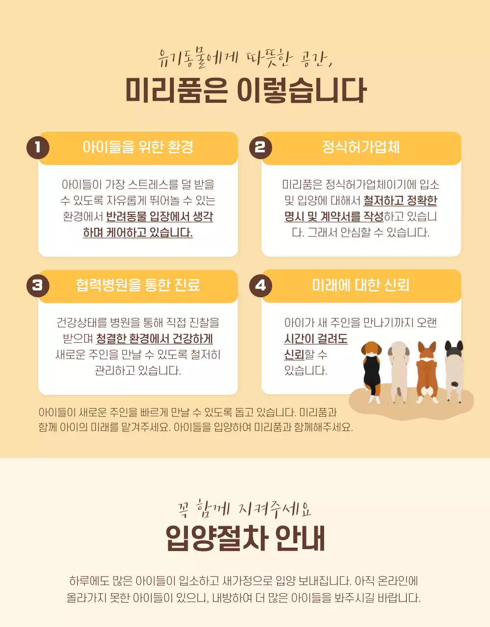 노란색 갈색 톤의 일러스트 입양 공고 상세페이지