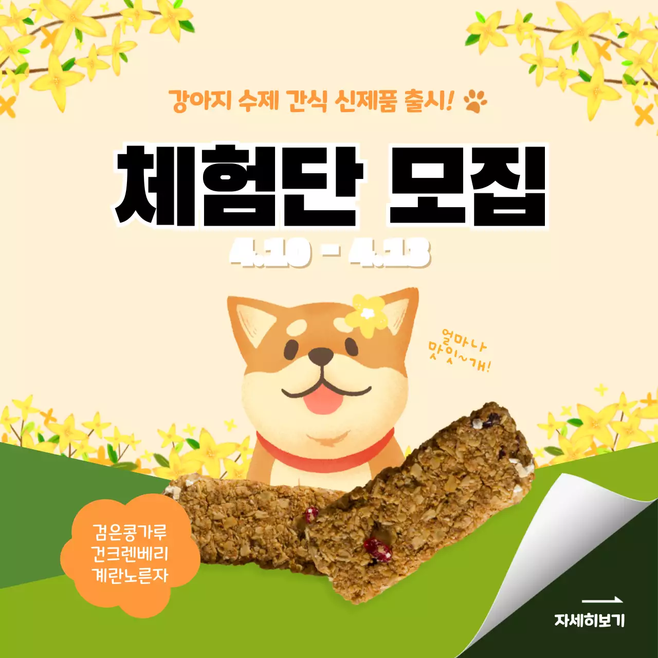노란색과 초록색의 봄컨셉의 강아지 수제 간식 체험단 모집