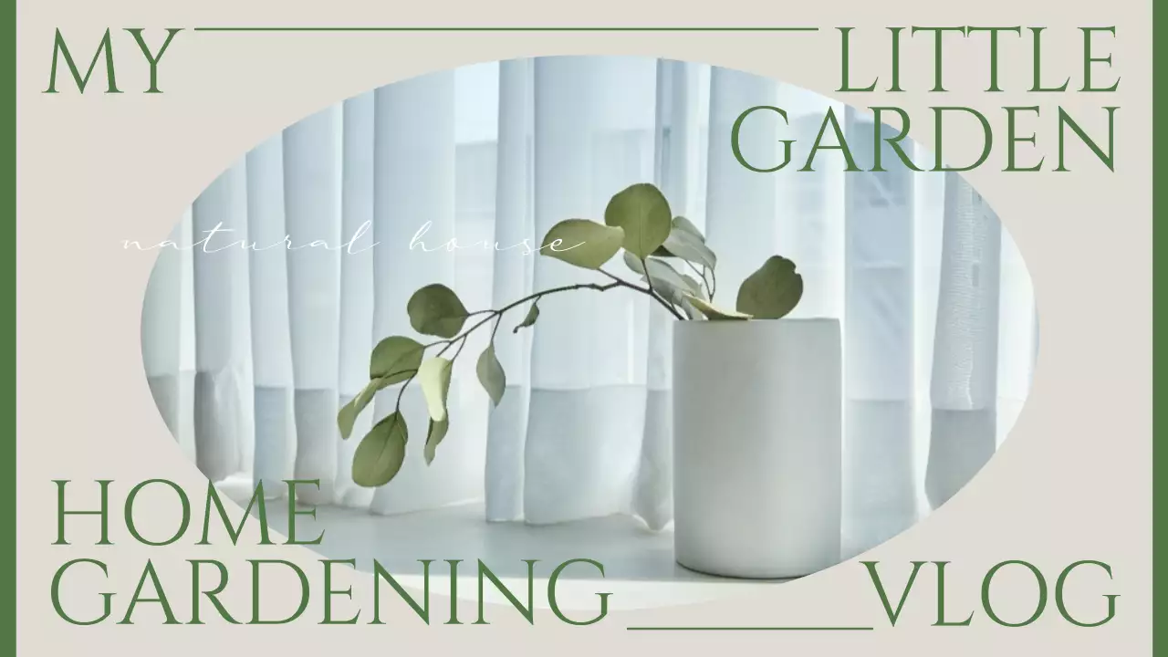 베이지와 초록색의 감성적인 홈 가드닝 브이로그