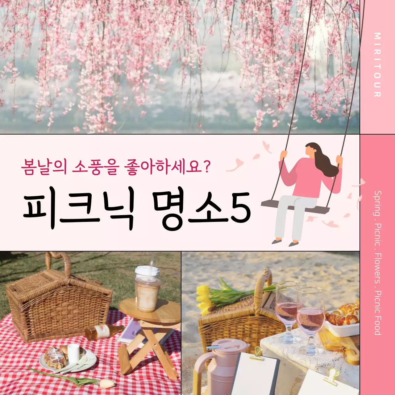 분홍색의 사진 프레임 강조 봄 피크닉 명소 소개