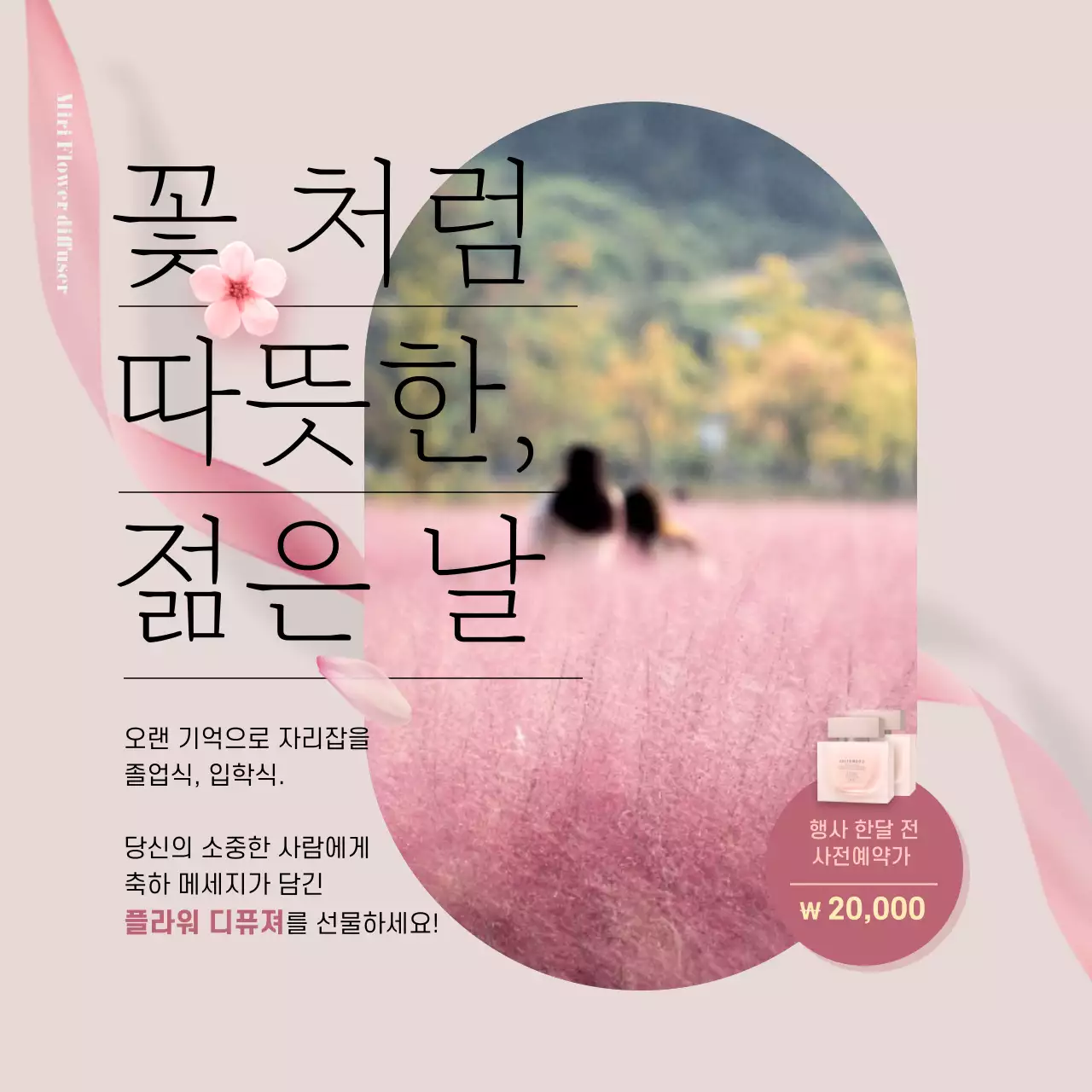 분홍색의 졸업 입학 플라워 선물 인스타새피드