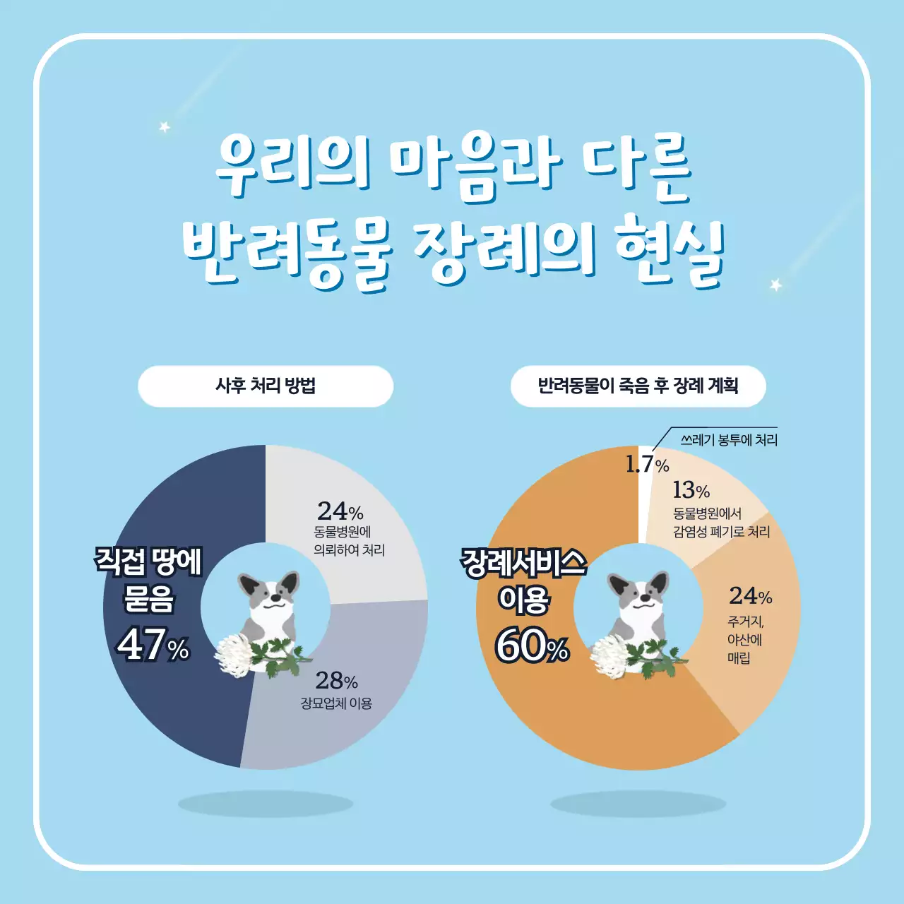 파란색 귀여운 일러스트가 포함된 펫로스의 이야기