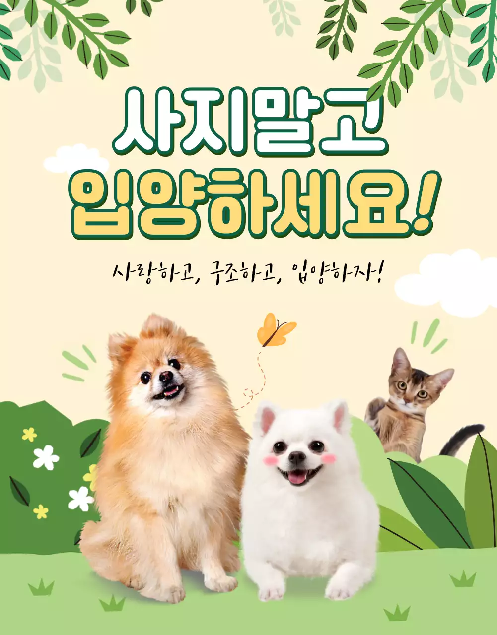 초록과 노랑의 반려동물 입양 안내 상세페이지