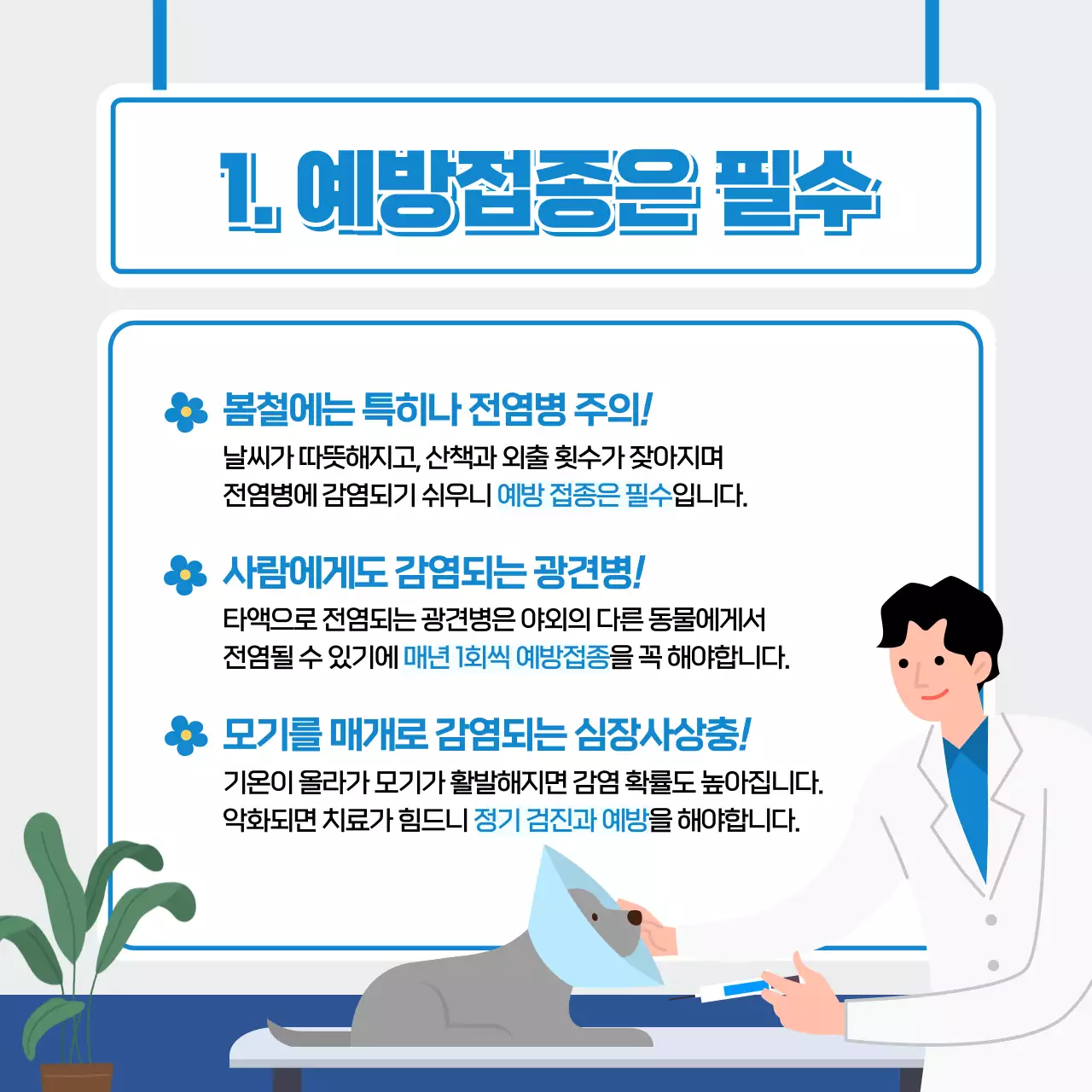 봄 배경의 귀여운 강아지 건강관리법 카드뉴스