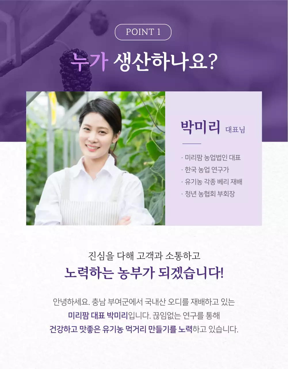 보라색의 신선한 오디생과