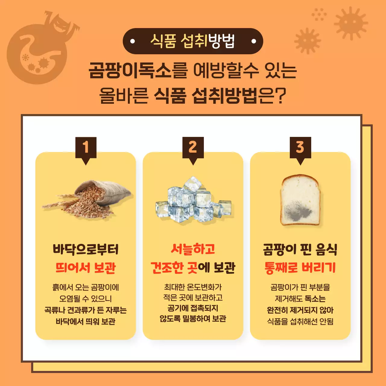 갈색의 귀어운 곰팡이 식품 보관과 섭취의 지혜 카드뉴스