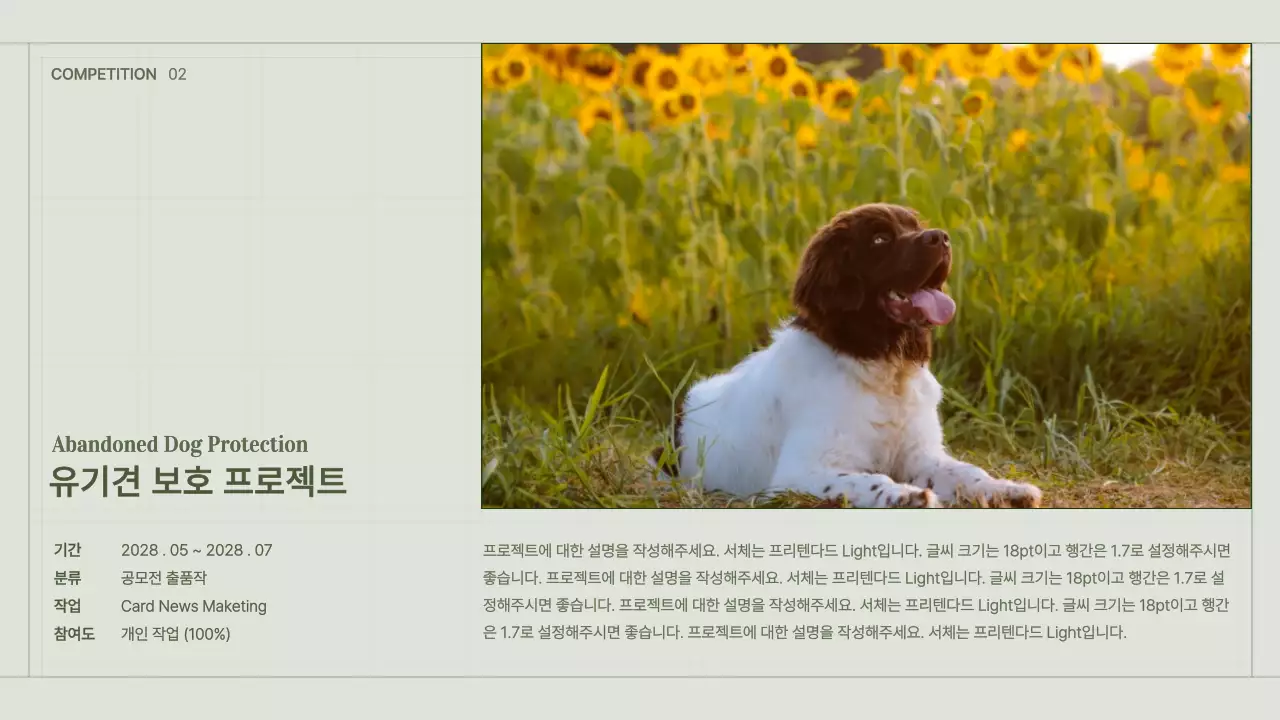 녹색의 심플한 그리드 컨셉의 콘텐츠 마케터 포트폴리오