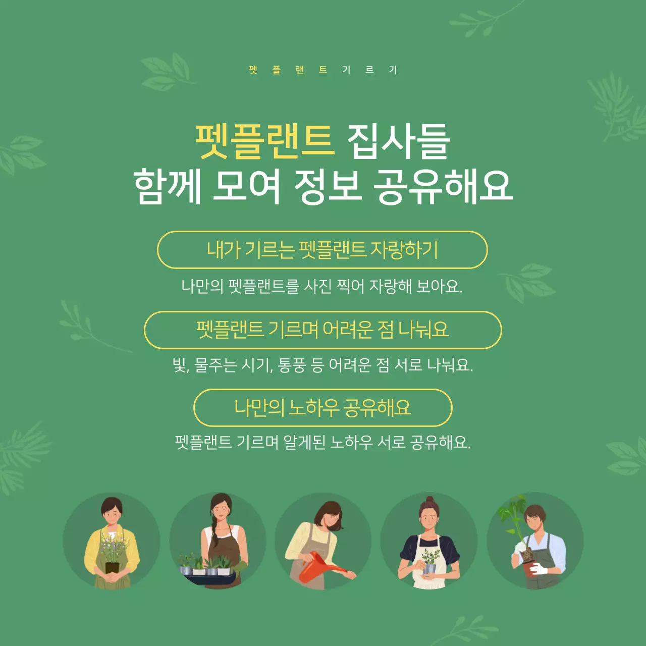 초록색의 일러스트 반려식물 정보제공