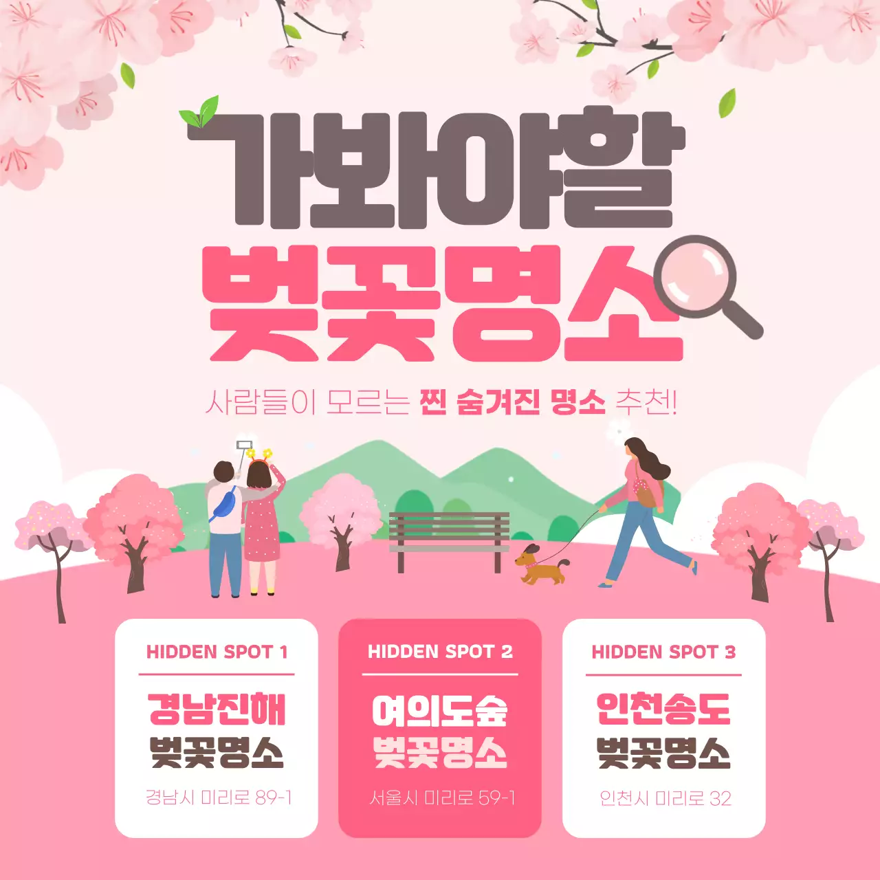 핑크컬러의 벚꽃명소 인스타피드