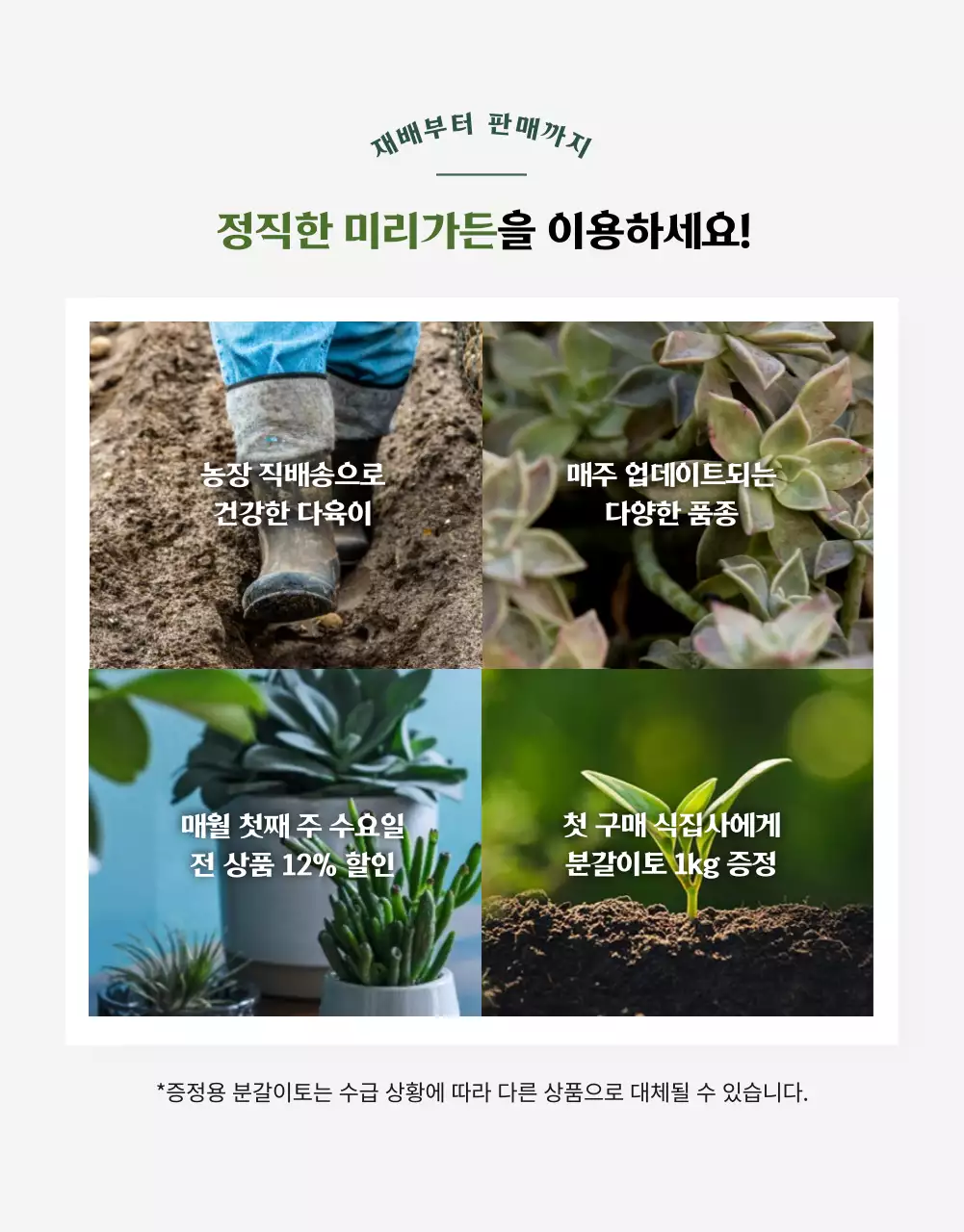 그린컬러 사랑스러운 다육이 전문 쇼핑몰(상세페이지)