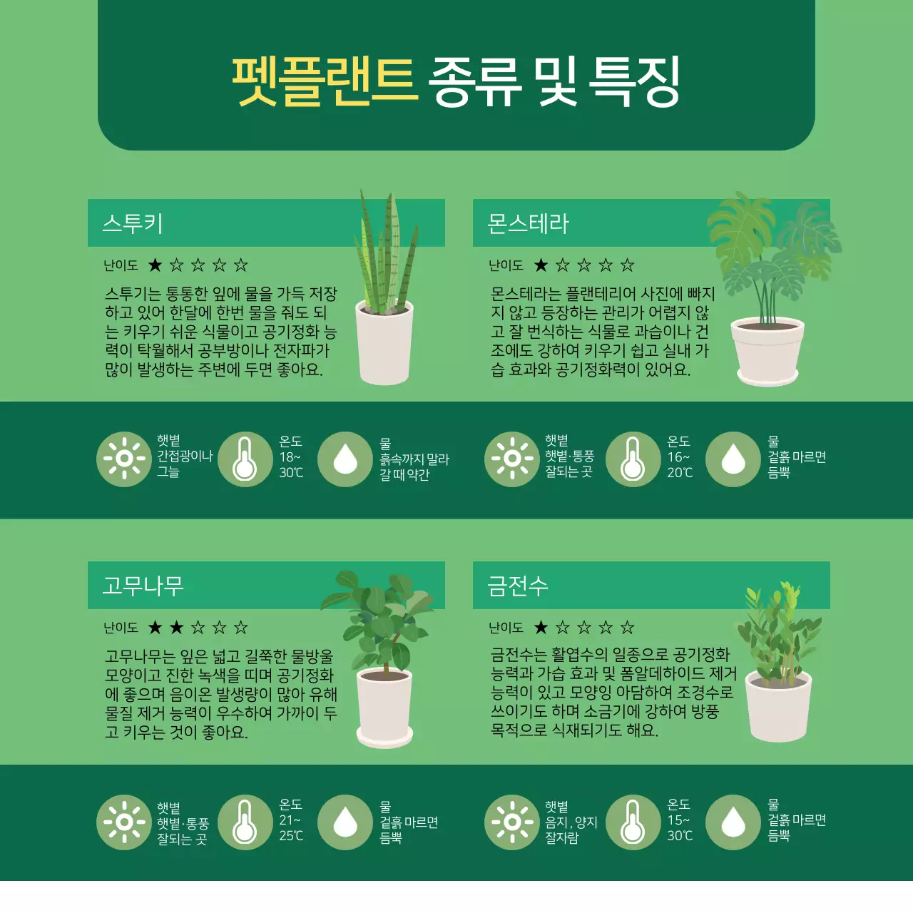 초록색의 일러스트 반려식물 정보제공