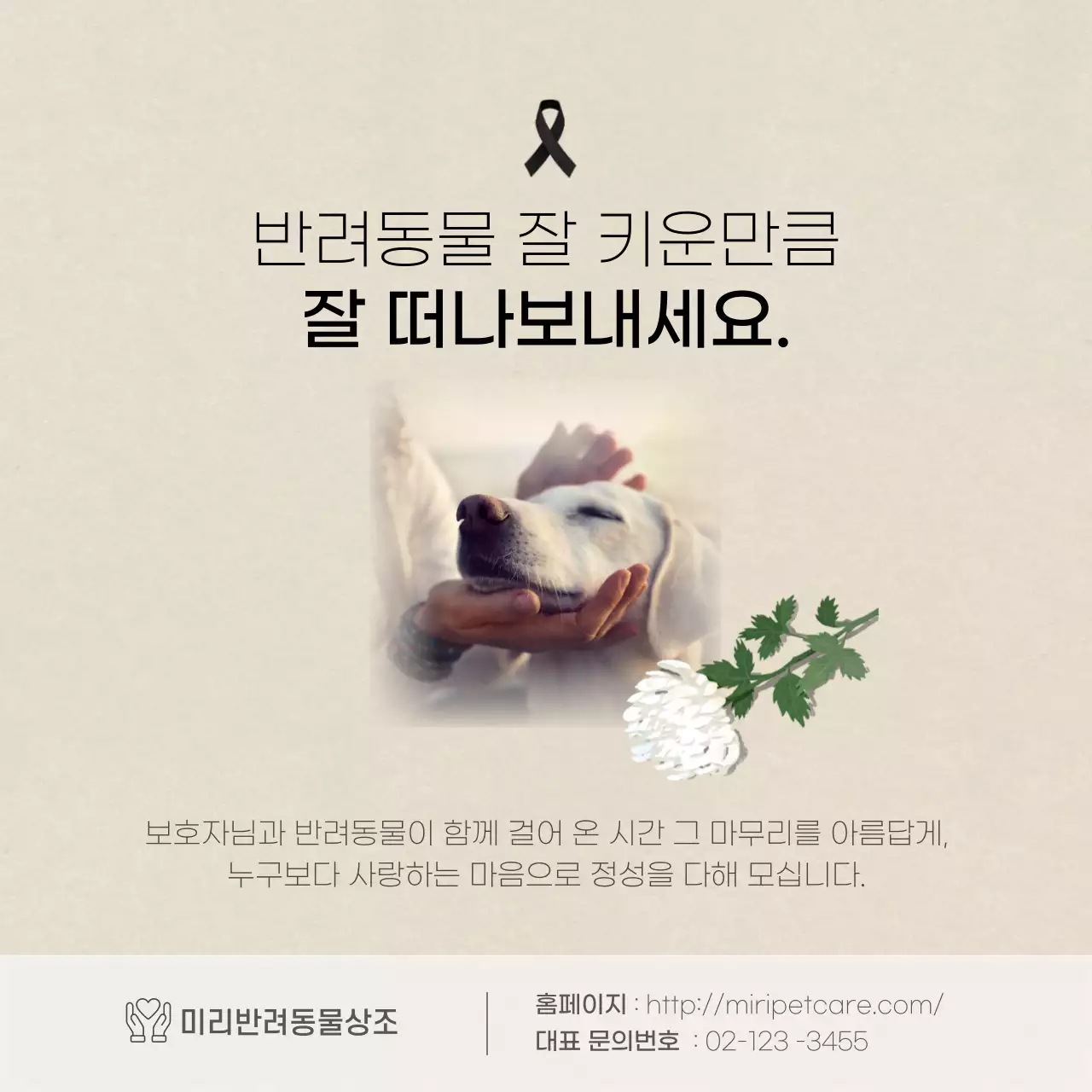 아이보리색의 깔끔한텍스트 반려상조 카드뉴스
