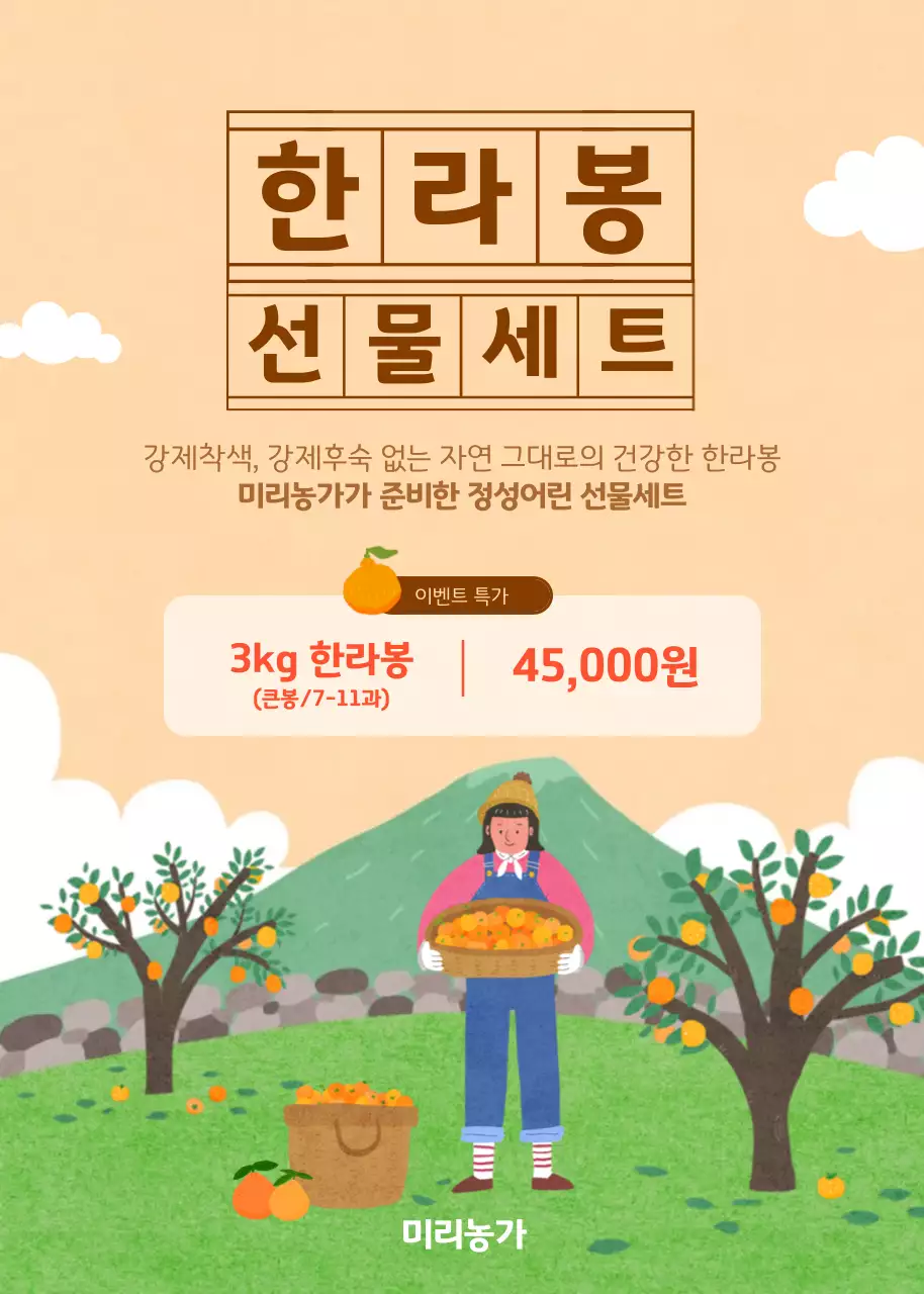 주황색 손그림 느낌 제주 한라봉 선물세트 할인 특가