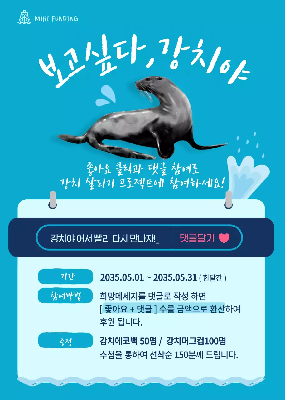 파란색 강치 보호 안내테마