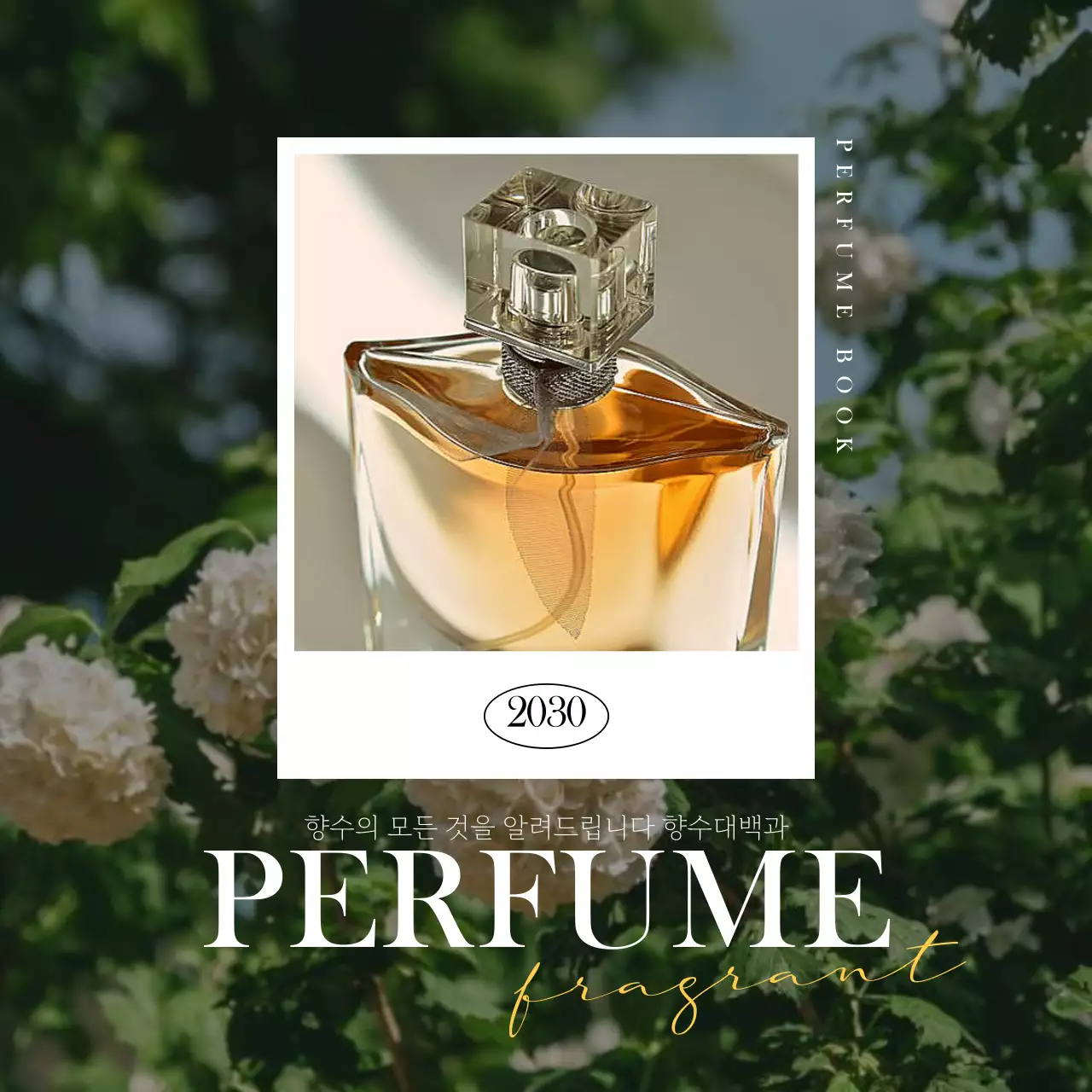 감성적인 분위기의 향수 카드뉴스 디자인