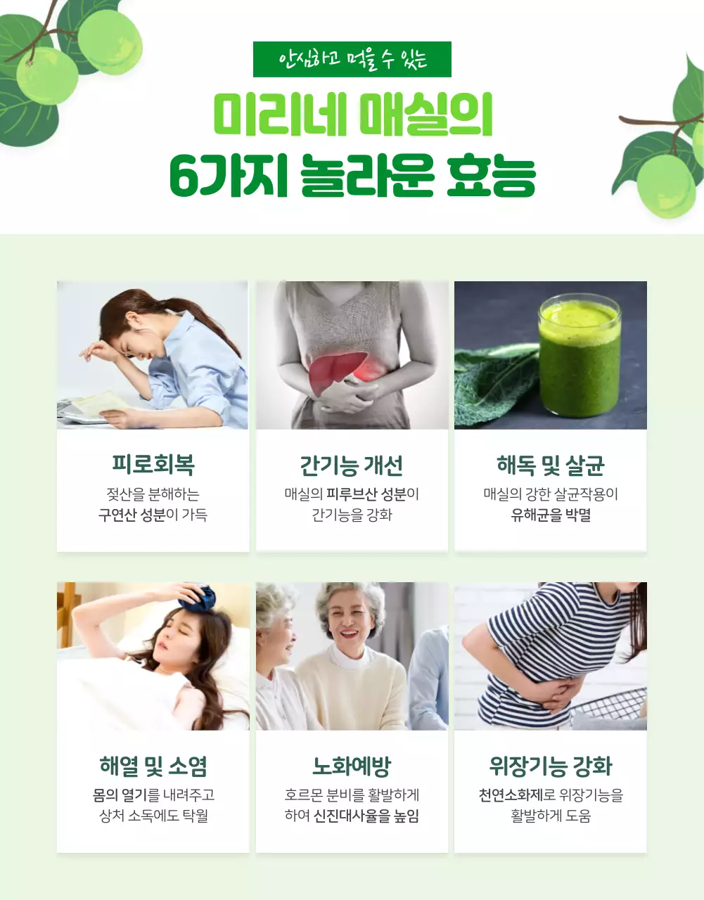초록색 상큼한 유기농 컨셉의 매실 (상세페이지)