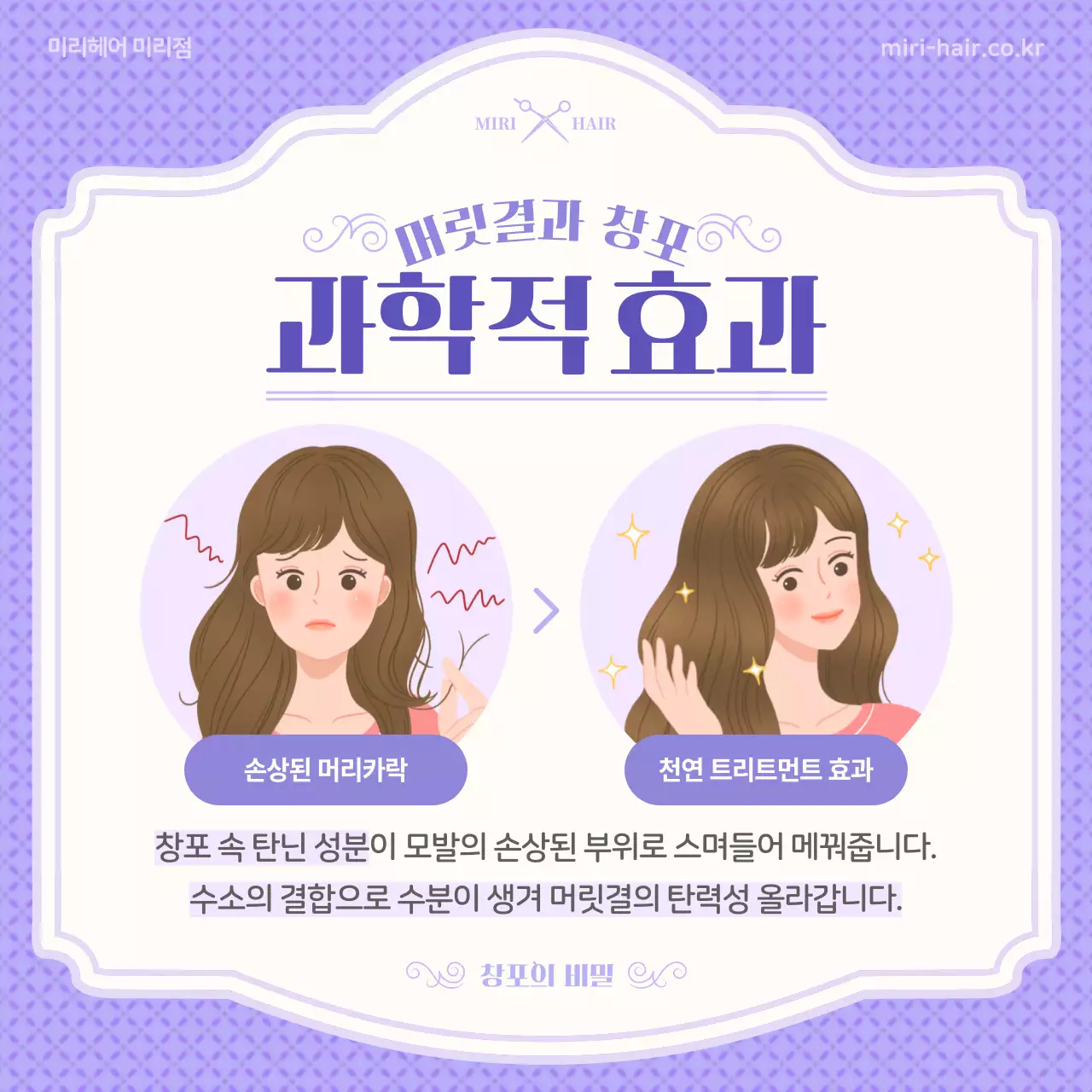 보라색의 일러스트 컨셉 단오와 창포 정보 소개