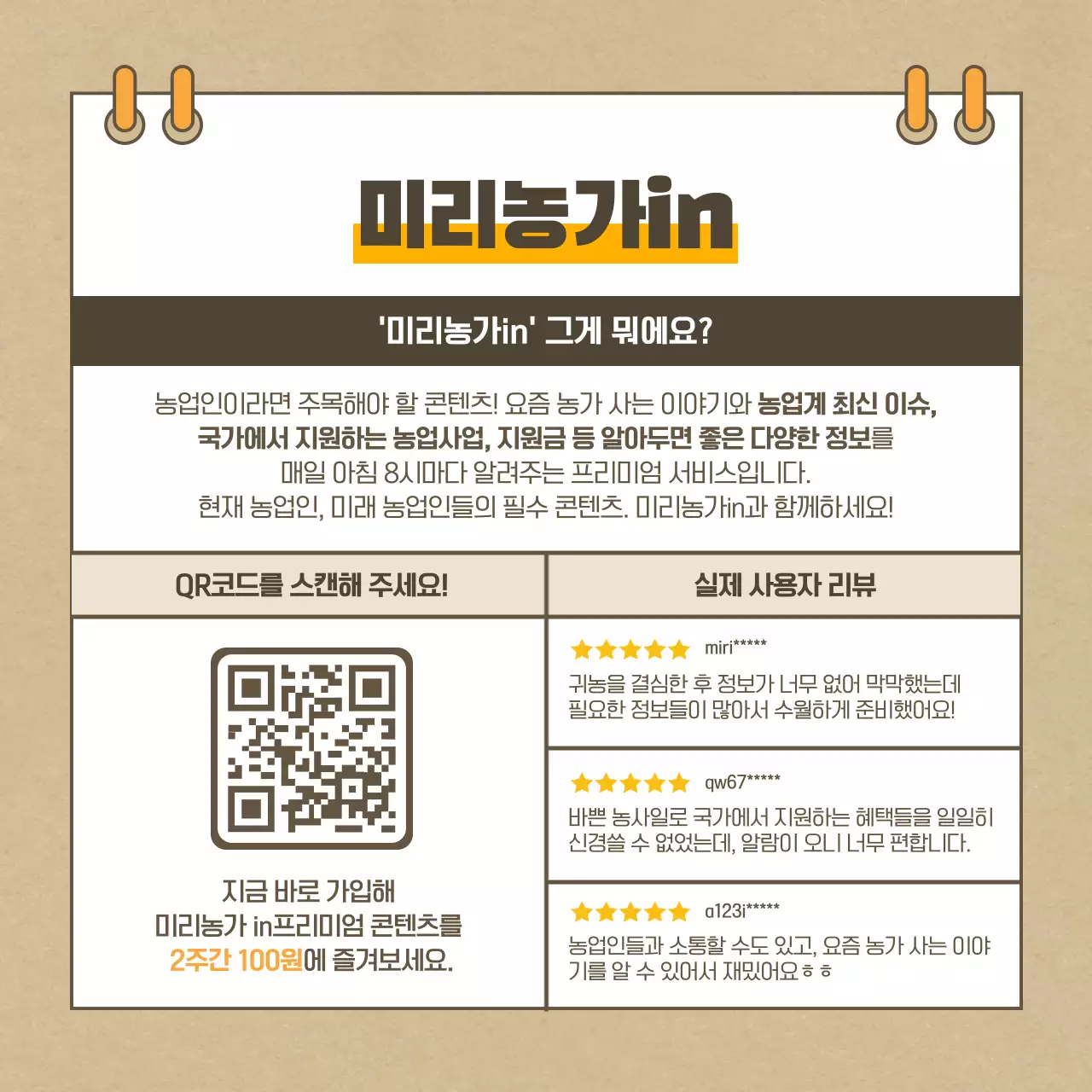 베이지색의 꿀벌 실종사건 카드뉴스 디자인