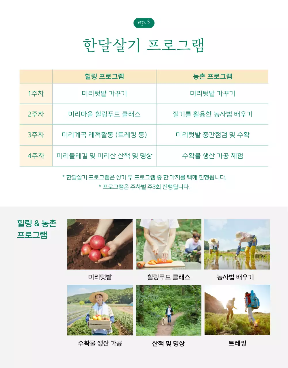 녹색과 하얀색의 깔끔하고 시원한 느낌의 시골에서 한달살기 참여자 모집 상세페이지 