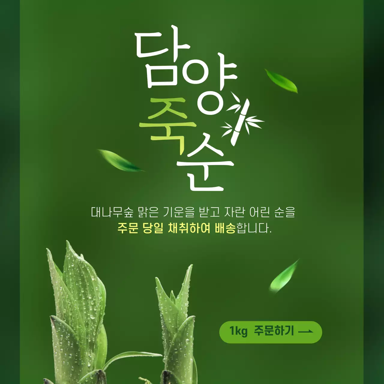 초록색 근접 이미지 깔끔한 컨셉의 죽순 홍보 테마