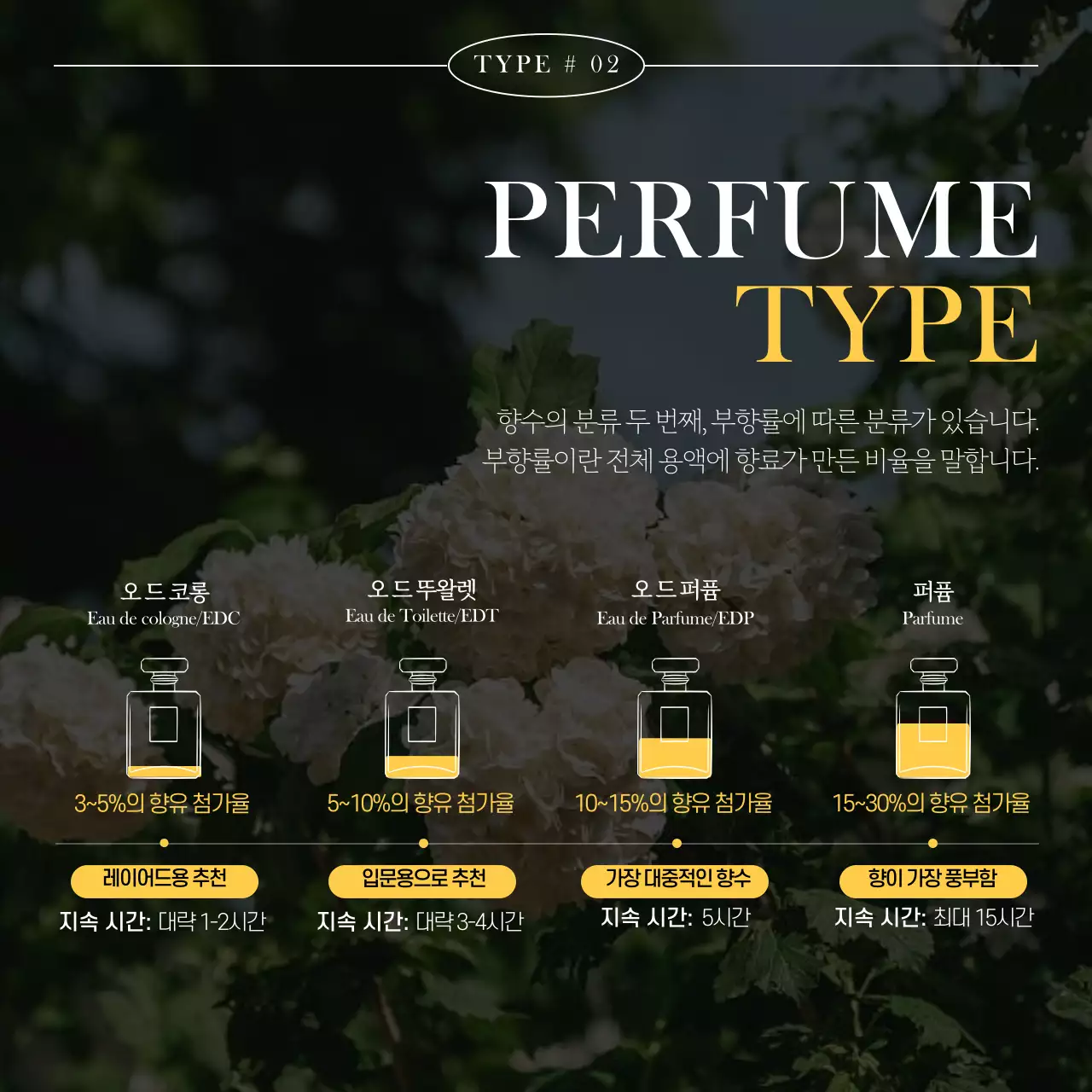 감성적인 분위기의 향수 카드뉴스 디자인