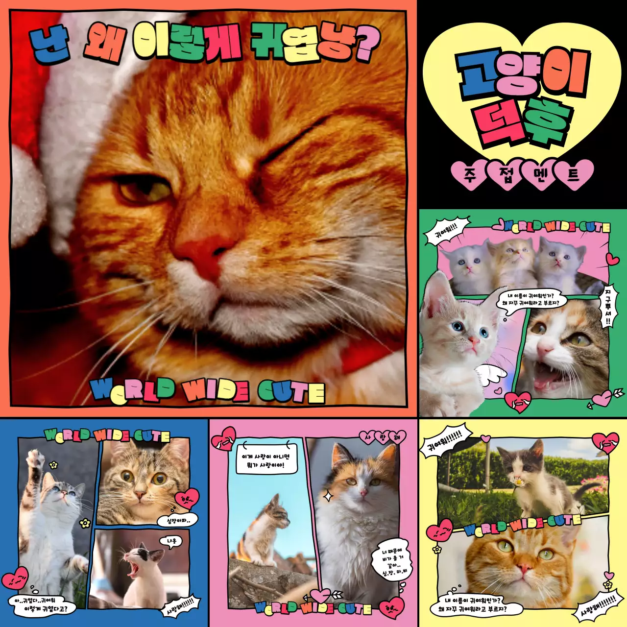 알록달록한 원색의 귀여운 카툰 느낌의 고양이 덕후 주접멘트