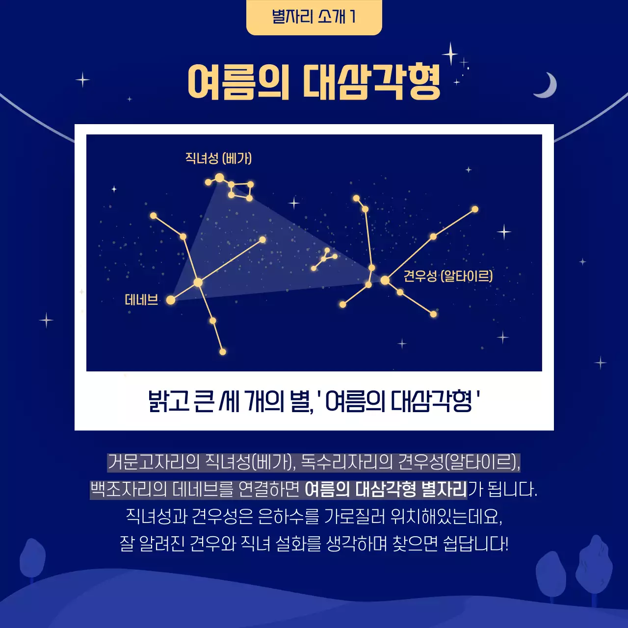 파란색과 노란색의 일러스트 여름 별자리 카드뉴스