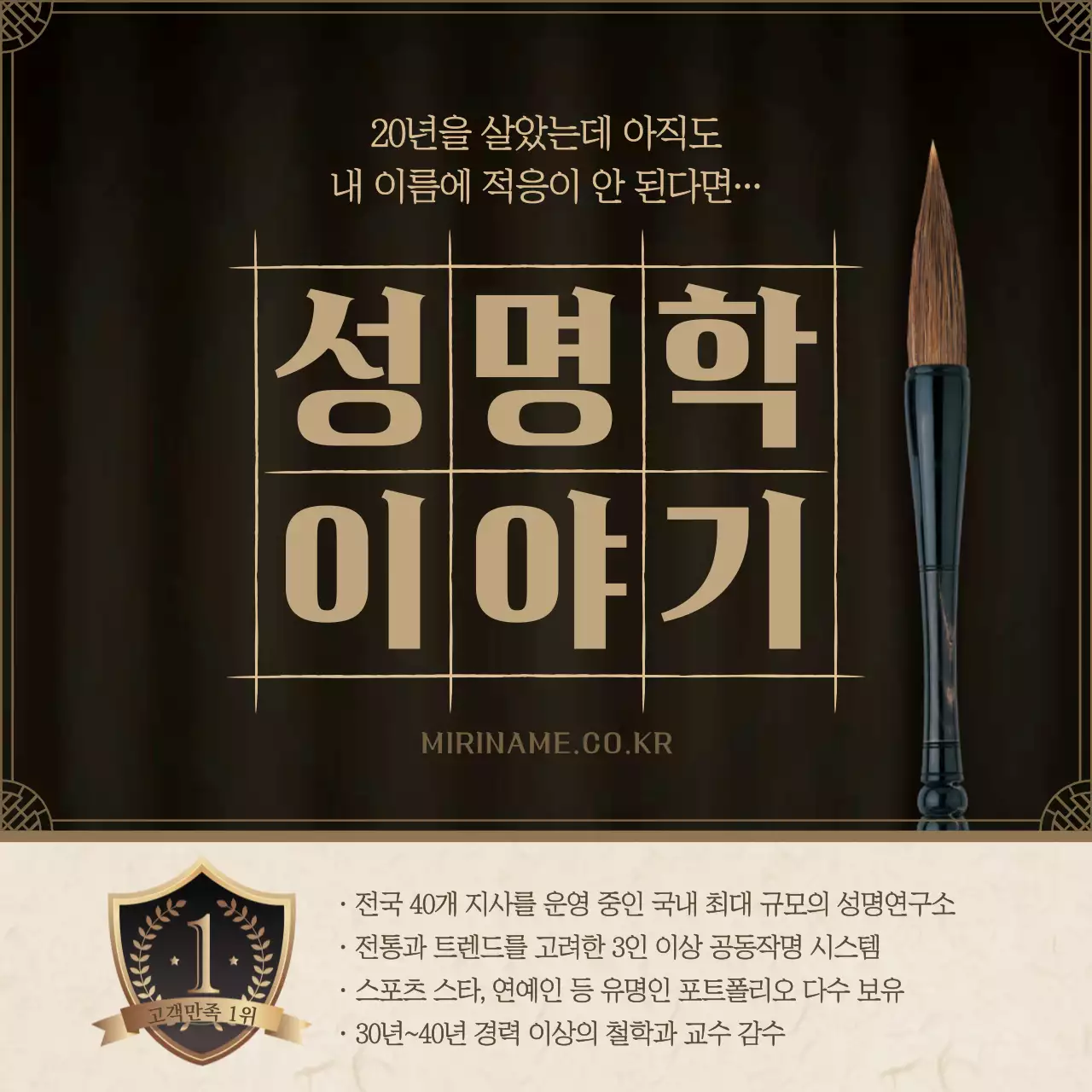 검은색과 갈색의 전문적인 성명학 이야기