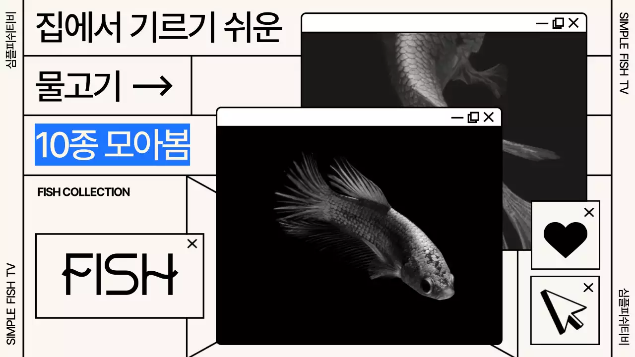 검은색과 베이지색의 그리드 윈도우 컨셉 물고기 기르기