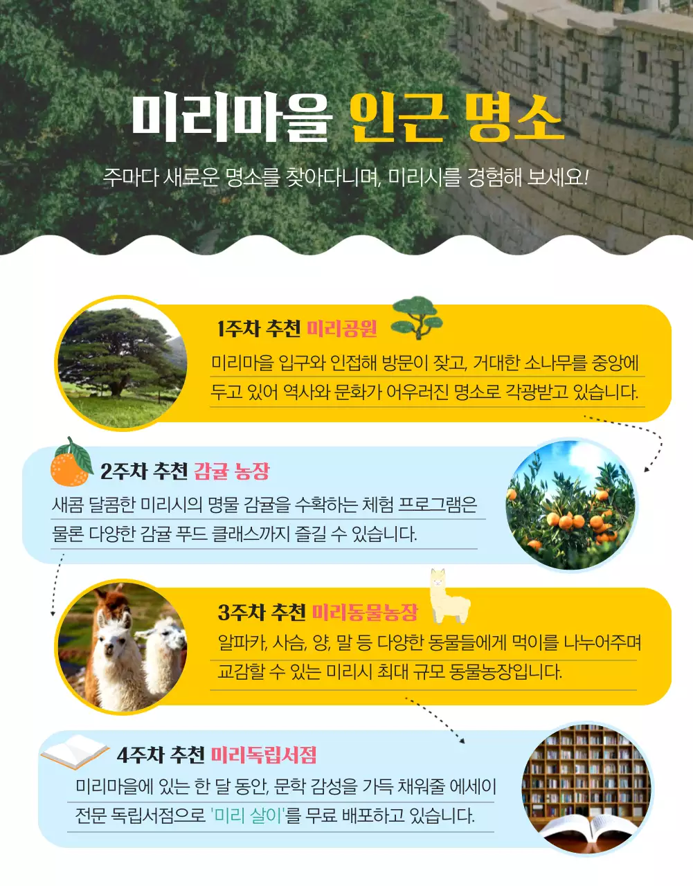 노란색과 초록색의 자연과 감성적인 시골 농촌에서 한달살기 체험 프로그램