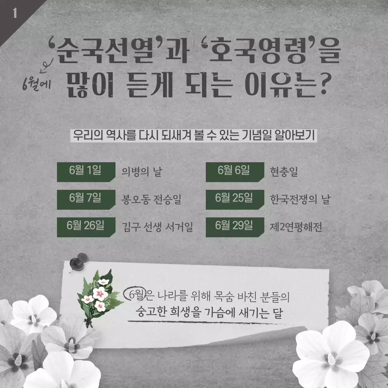 채도 낮은 브라운 일러스트 6월 호국보훈의 달 카드뉴스