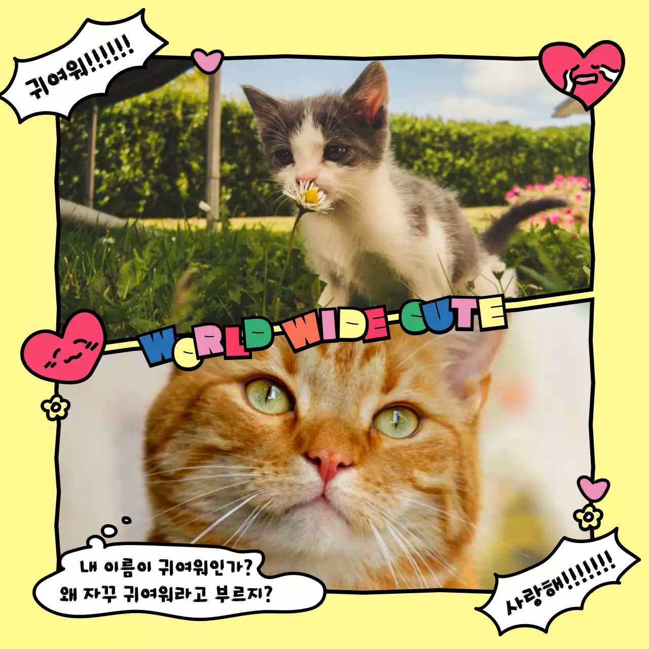 알록달록한 원색의 귀여운 카툰 느낌의 고양이 덕후 주접멘트