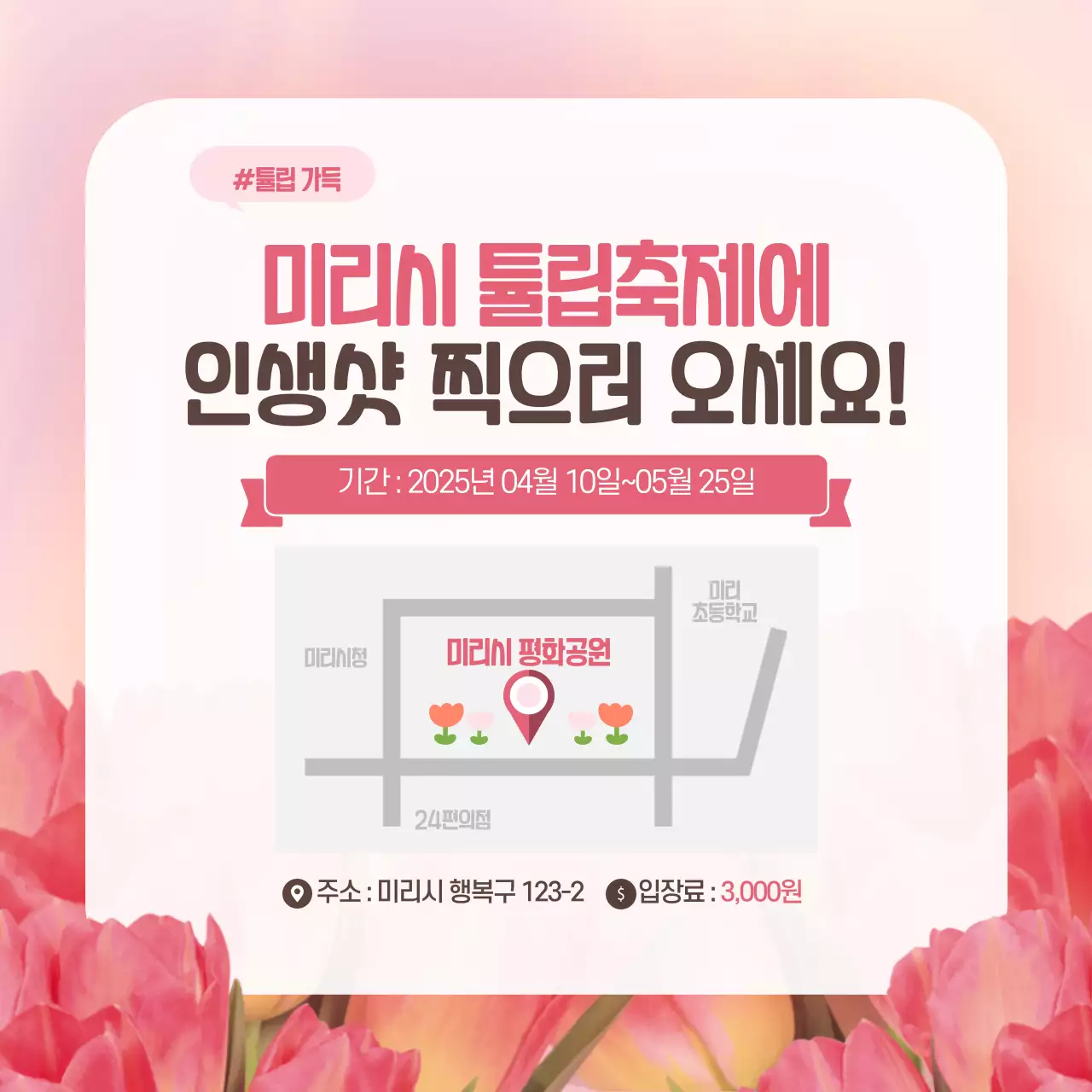 분홍색의 튤립 꽃말사전 카드뉴스 디자인