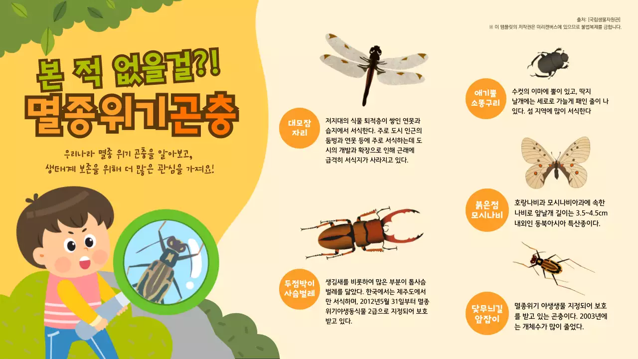 노락색의 멸종위기곤충 인포그래픽