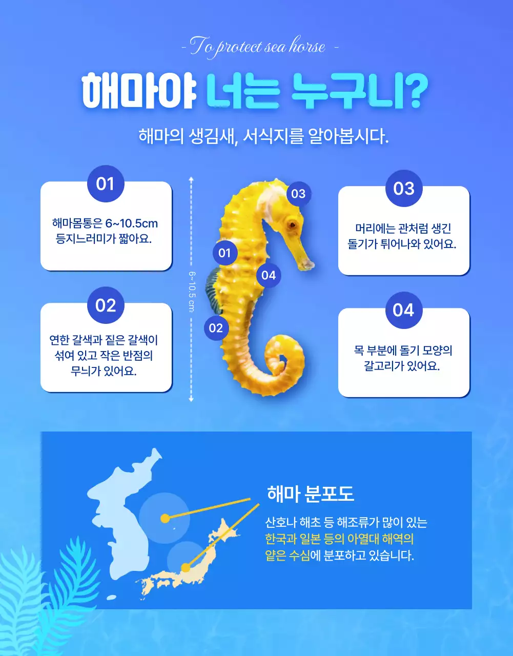 파란색의 시원한 물속배경의 멸종위기 바다생물 해마보호 펀딩상세페이지