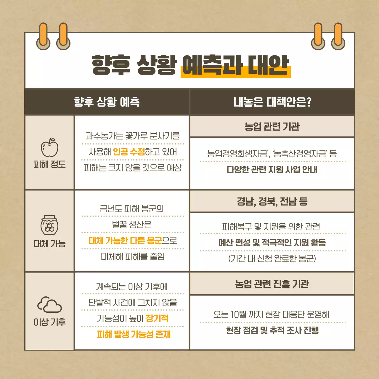 베이지색의 꿀벌 실종사건 카드뉴스 디자인