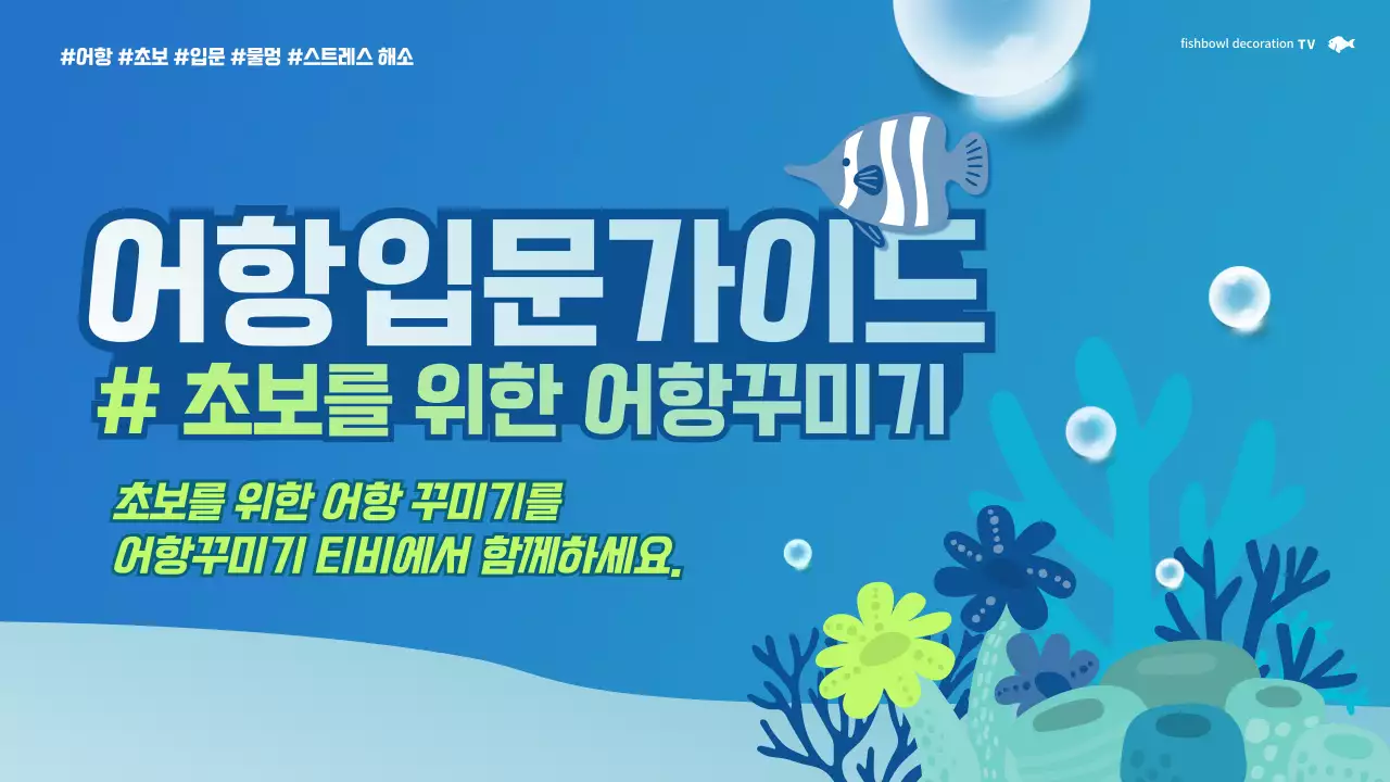 하늘색과 연두색의 귀여운 어항 입문 가이드 테마