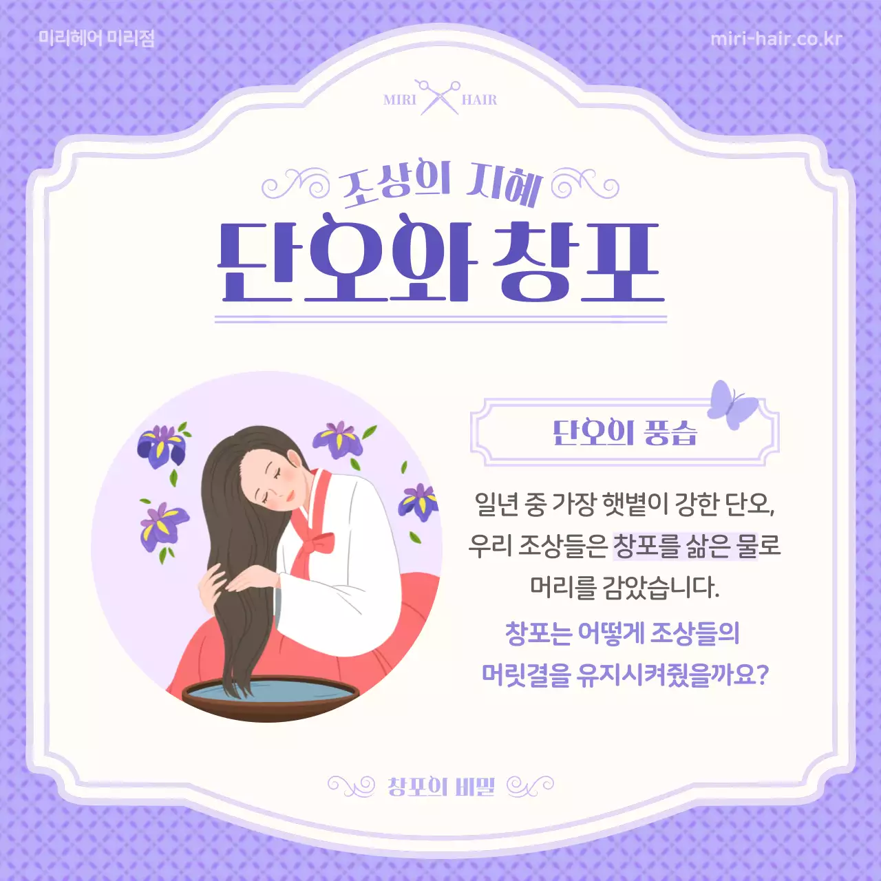 보라색의 일러스트 컨셉 단오와 창포 정보 소개