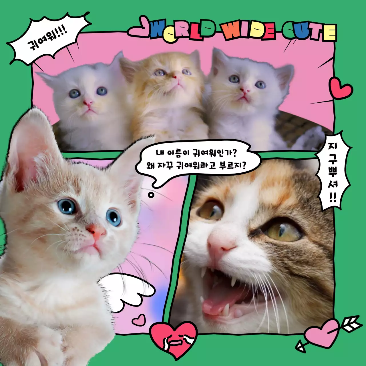 알록달록한 원색의 귀여운 카툰 느낌의 고양이 덕후 주접멘트