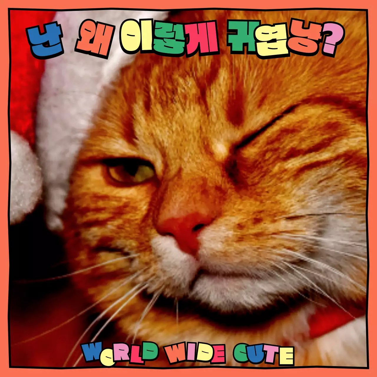 알록달록한 원색의 귀여운 카툰 느낌의 고양이 덕후 주접멘트