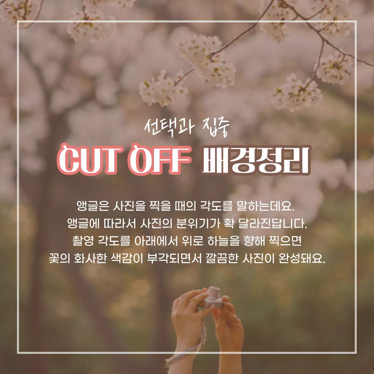 핑크톤의 봄꽃축제 인생샷 꿀팁 4가지 촬영기법 상품홍보