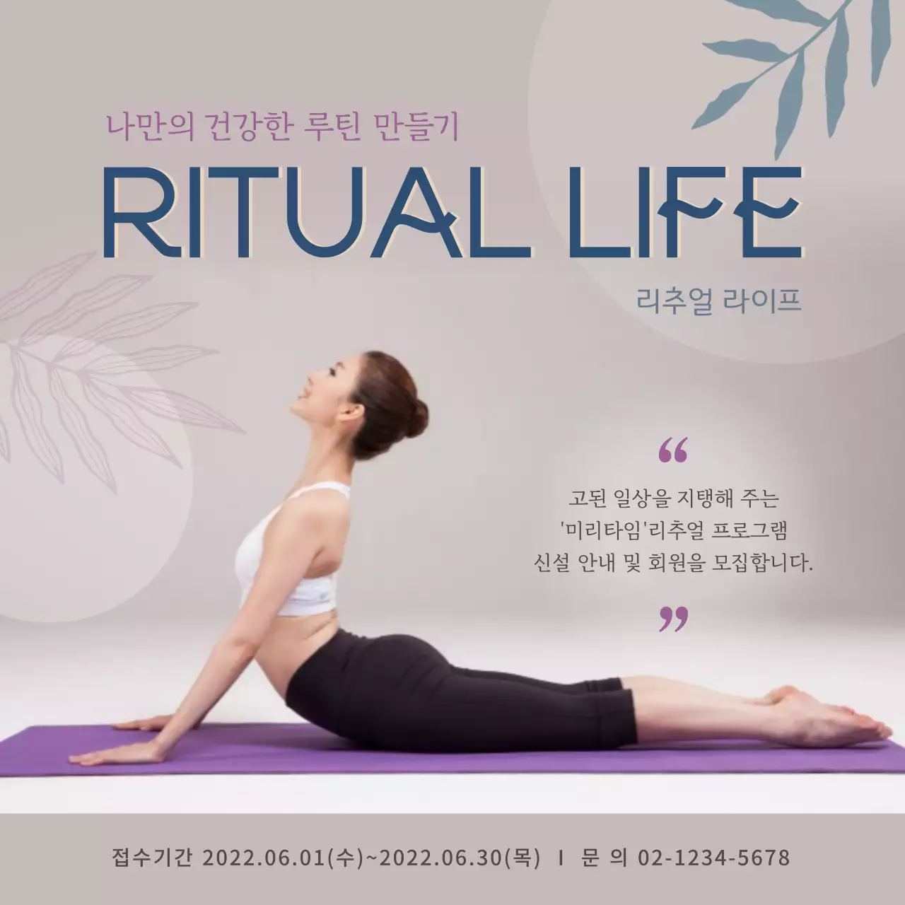 퍼플 이미지 소셜미디어