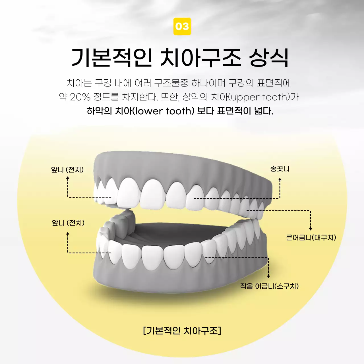 노랑과 회색의 모던한 치과 안내 홍보