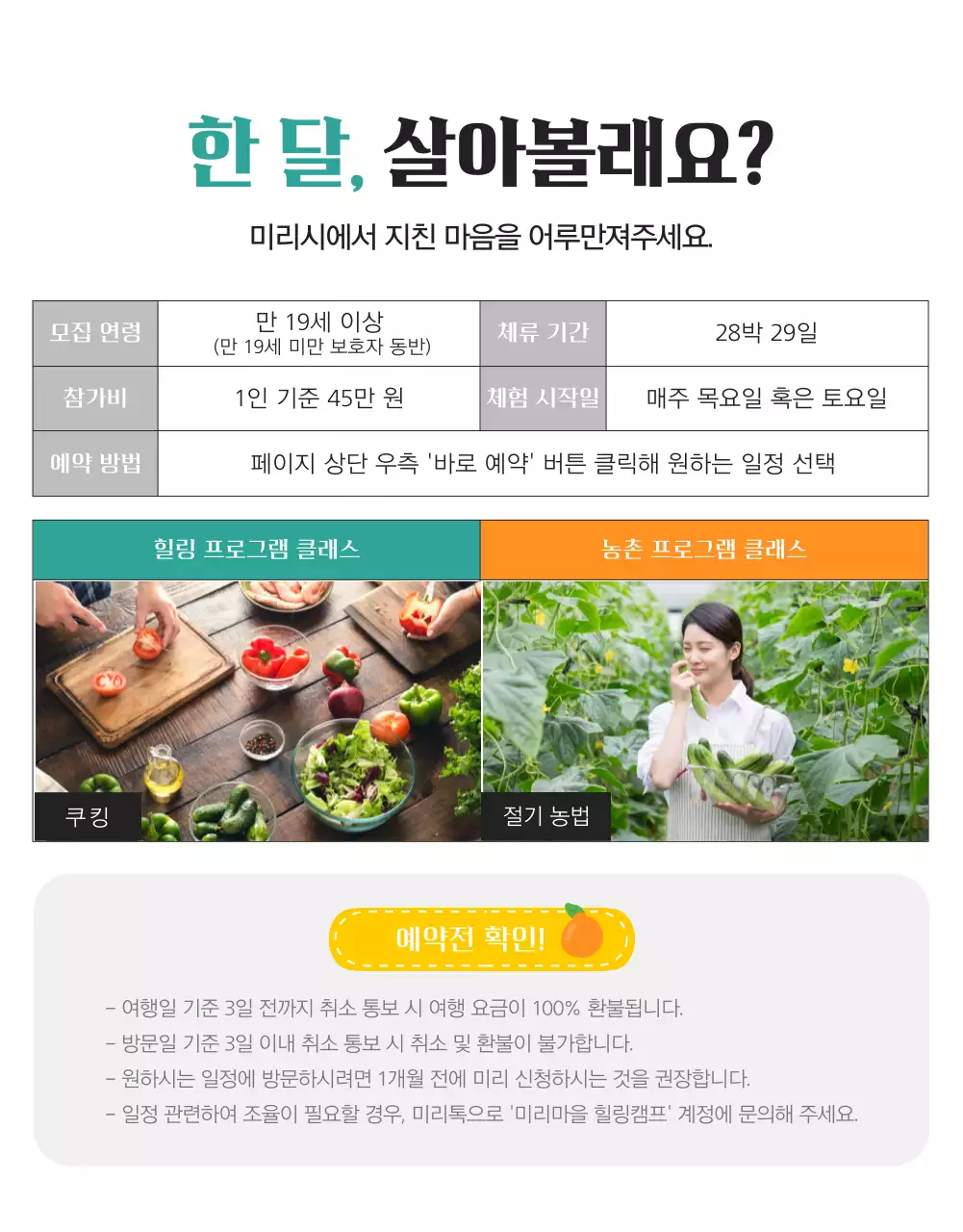 노란색과 초록색의 자연과 감성적인 시골 농촌에서 한달살기 체험 프로그램