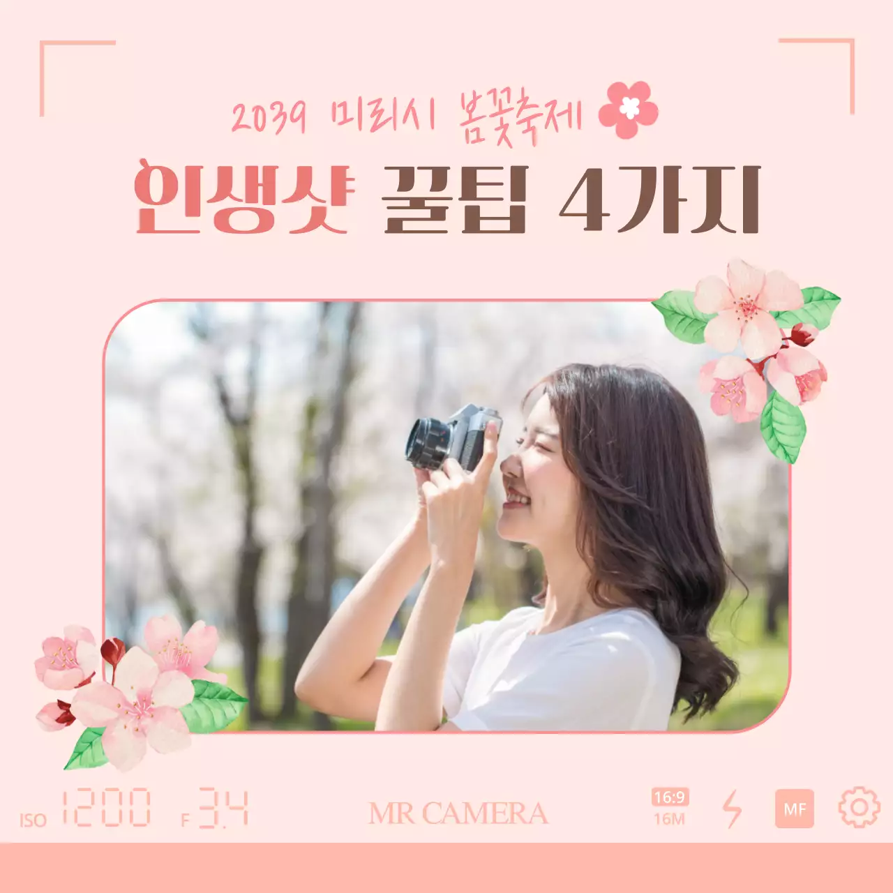 핑크톤의 봄꽃축제 인생샷 꿀팁 4가지 촬영기법 상품홍보