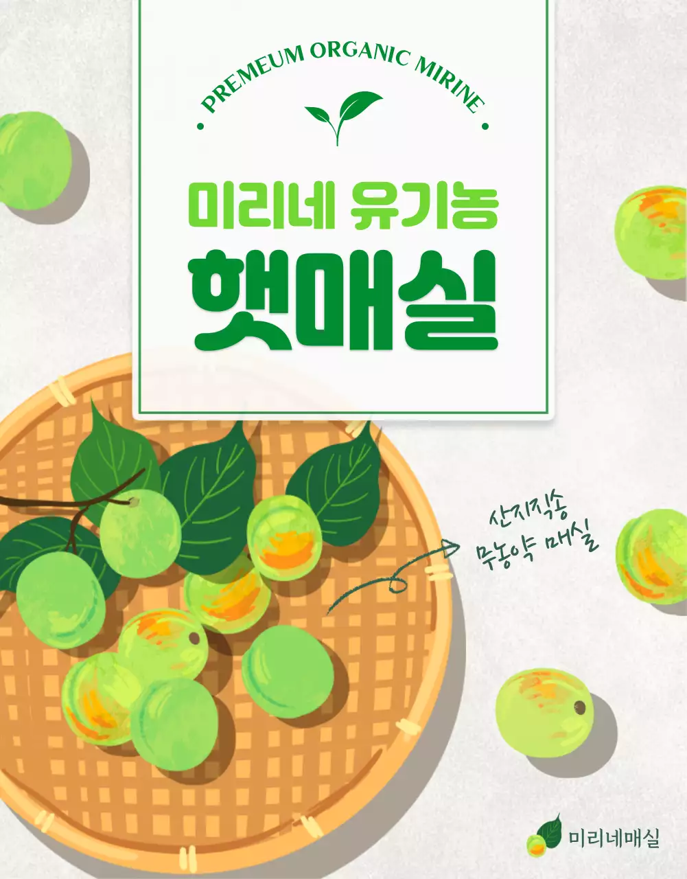 초록색 상큼한 유기농 컨셉의 매실 (상세페이지)